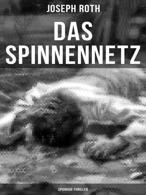 cover image of Das Spinnennetz
